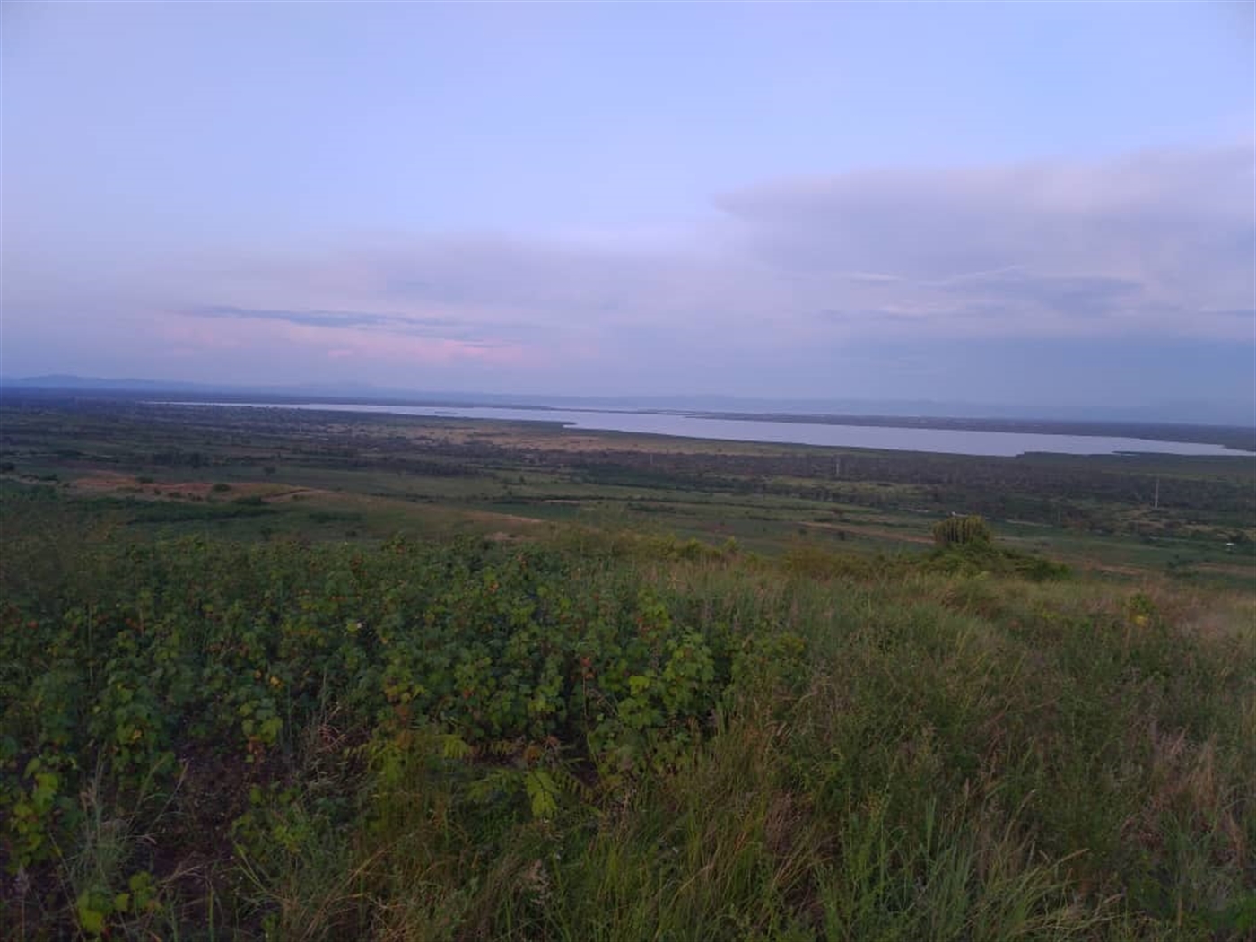 Recreational Land for sale in Mukokya Kaseese