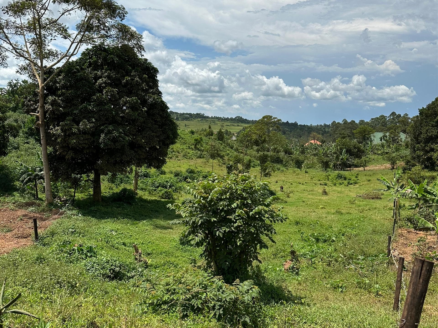 Residential Land for sale in Temangalo Wakiso