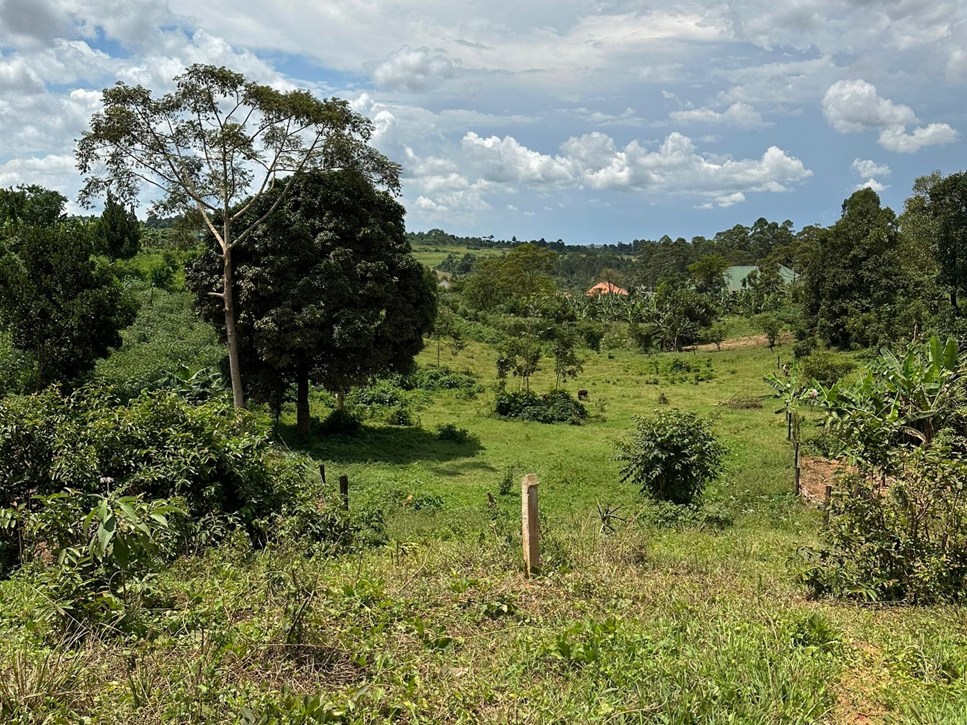 Residential Land for sale in Temangalo Wakiso