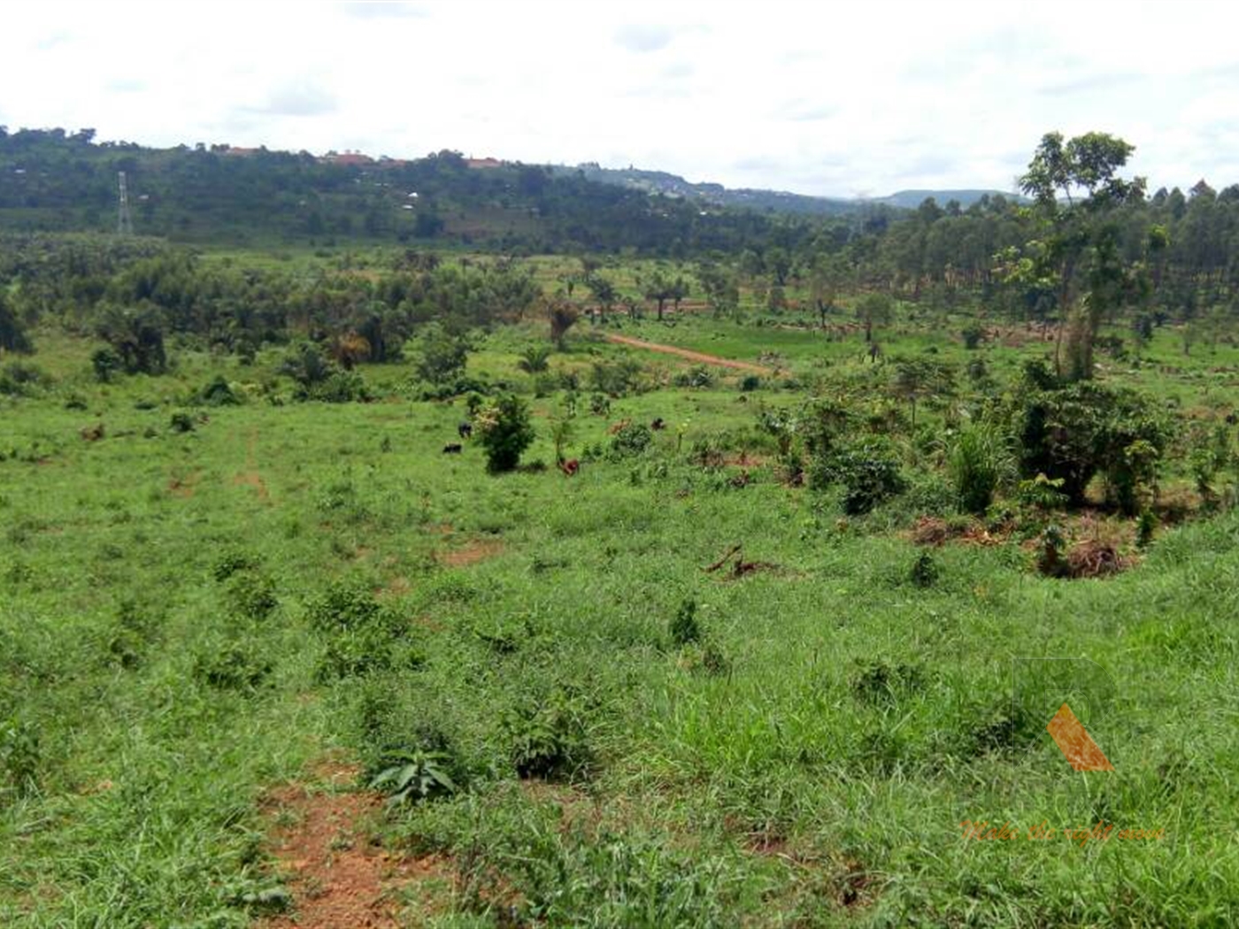 Agricultural Land for sale in Zigoti Mityana