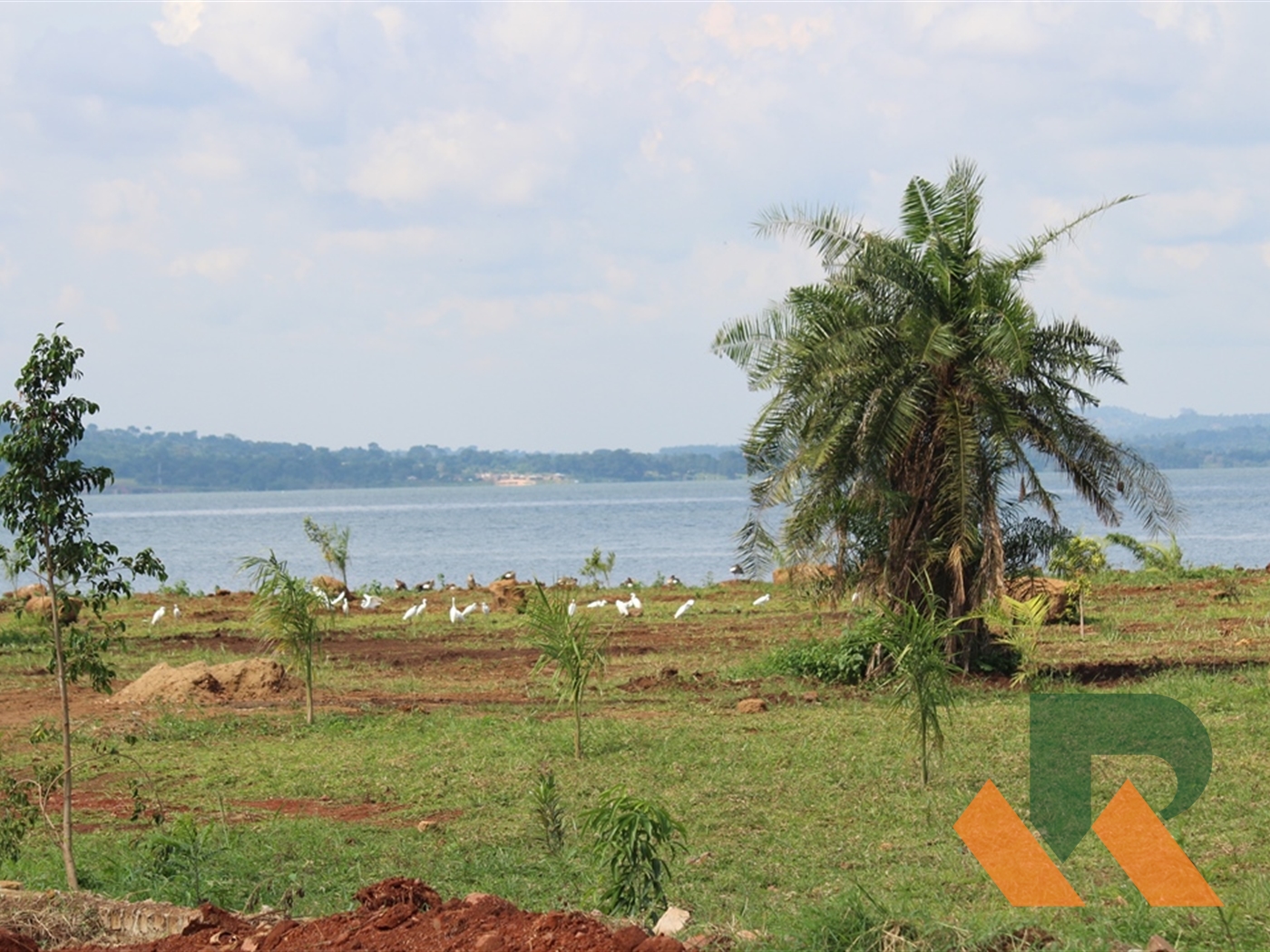 Recreational Land for sale in Kaazi Wakiso