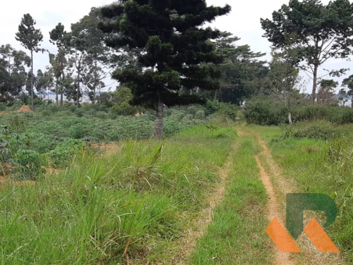 Residential Land for sale in Garuga Wakiso