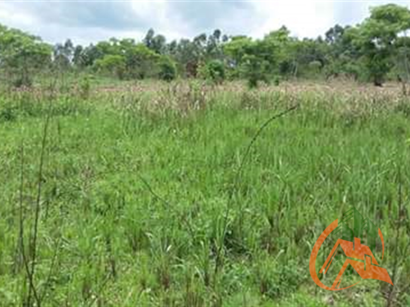 Agricultural Land for sale in Kireku Mityana
