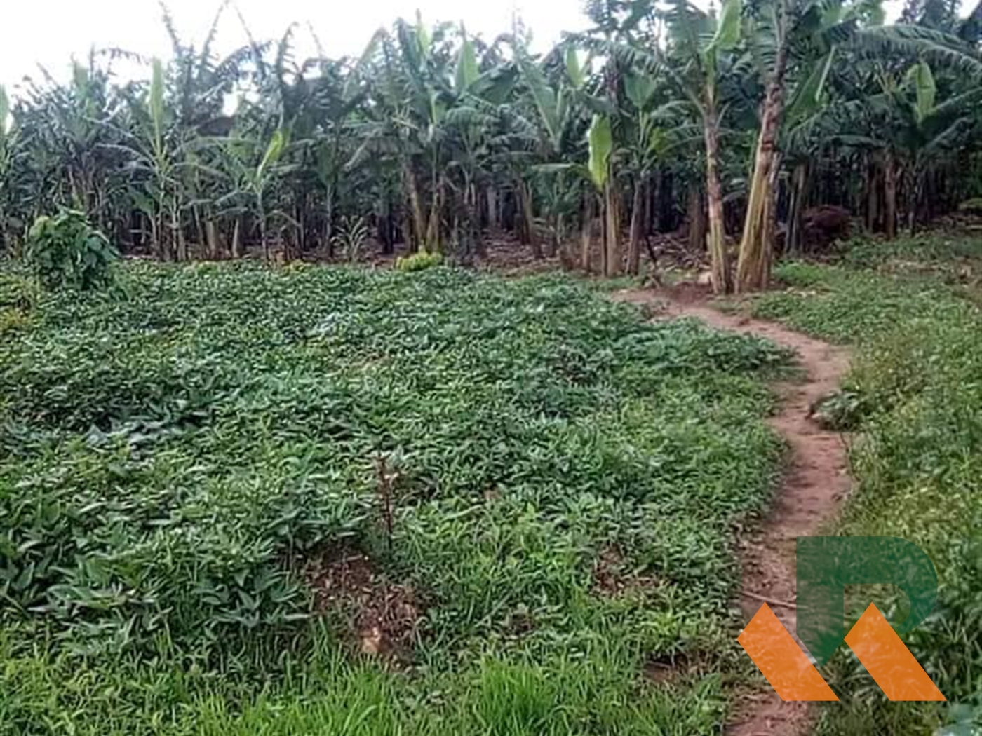 Residential Land for sale in Matugga Wakiso