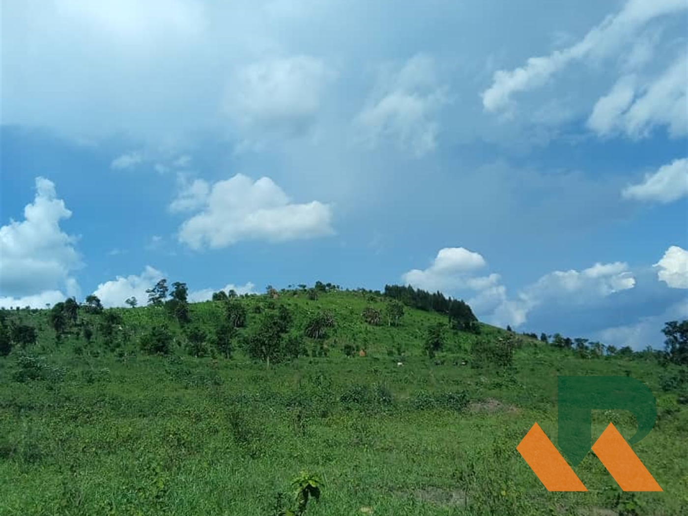 Residential Land for sale in Kakiri Wakiso