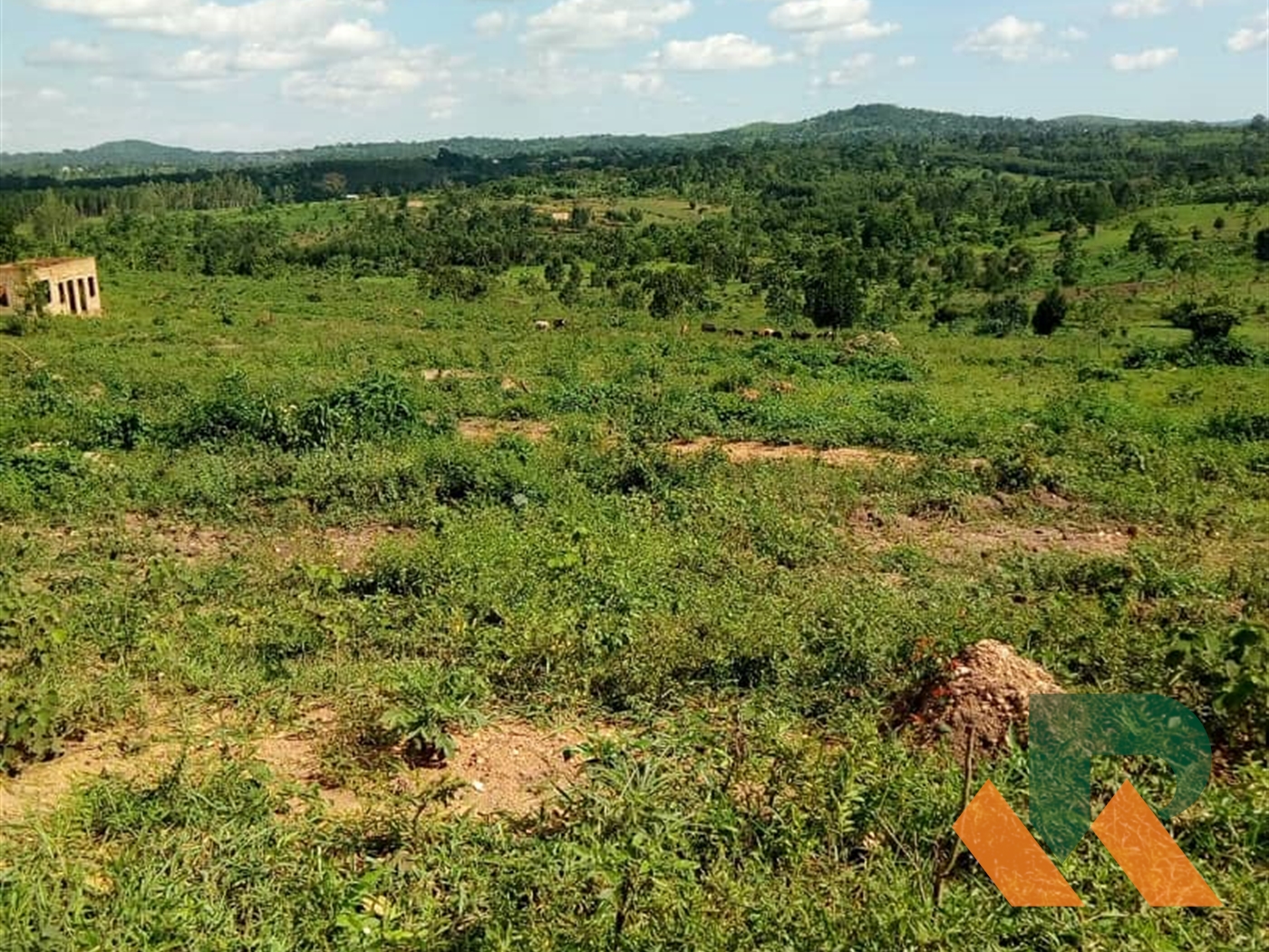 Residential Land for sale in Kakiri Wakiso