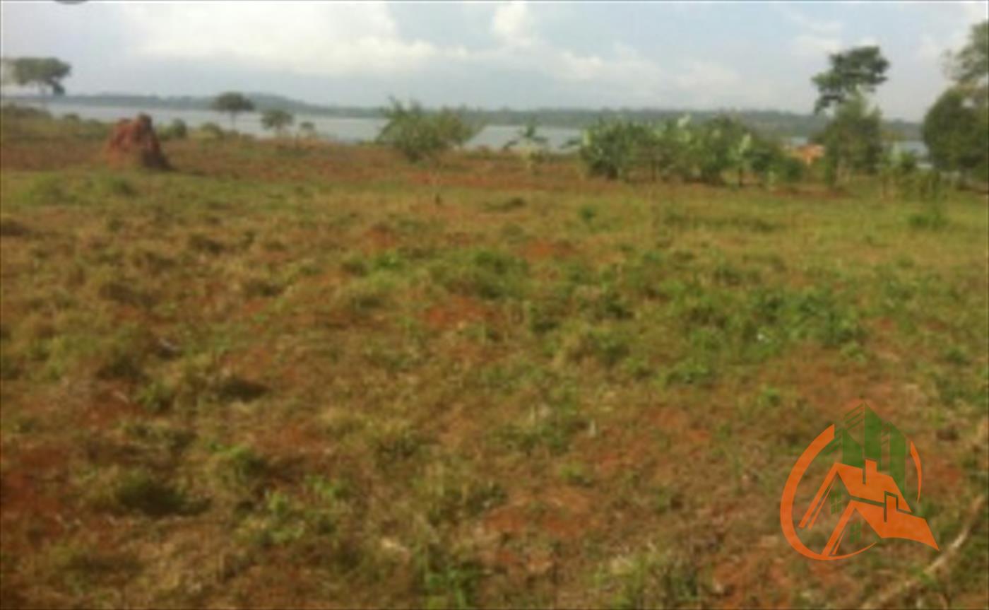 Multipurpose Land for sale in Busoga Jinja