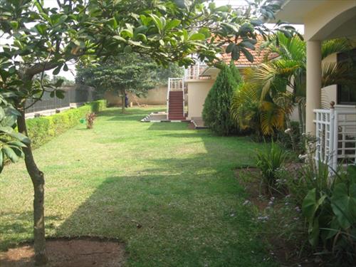 Bungalow for rent in Kololo Kampala