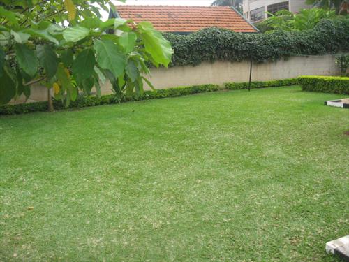 Bungalow for rent in Kololo Kampala