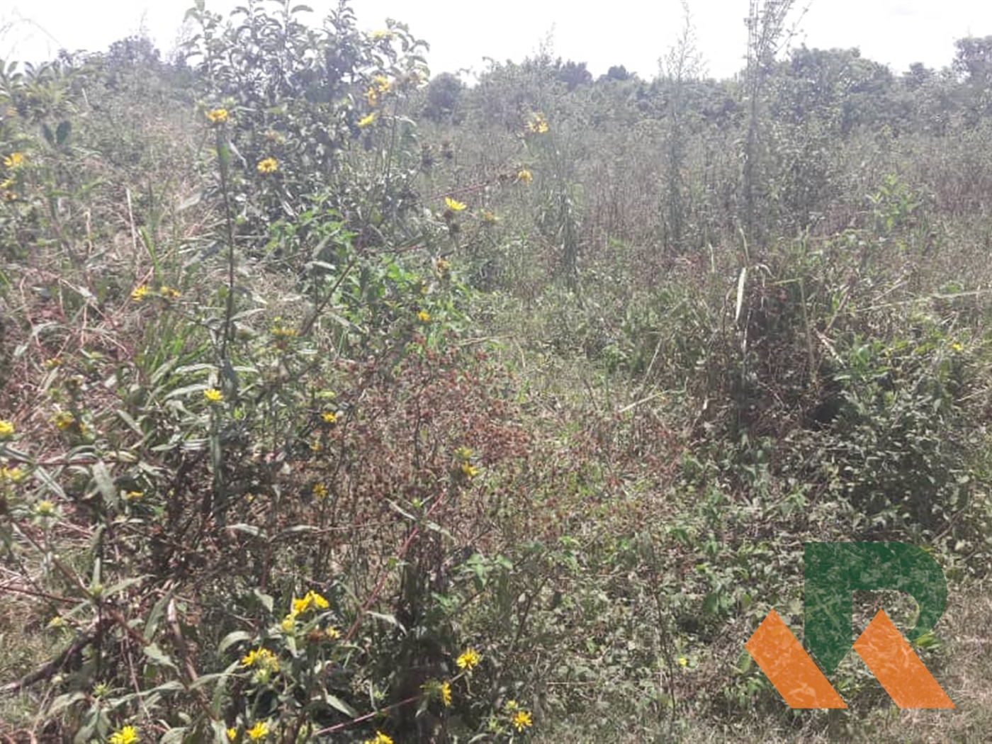 Agricultural Land for sale in Kasanjje Mpigi