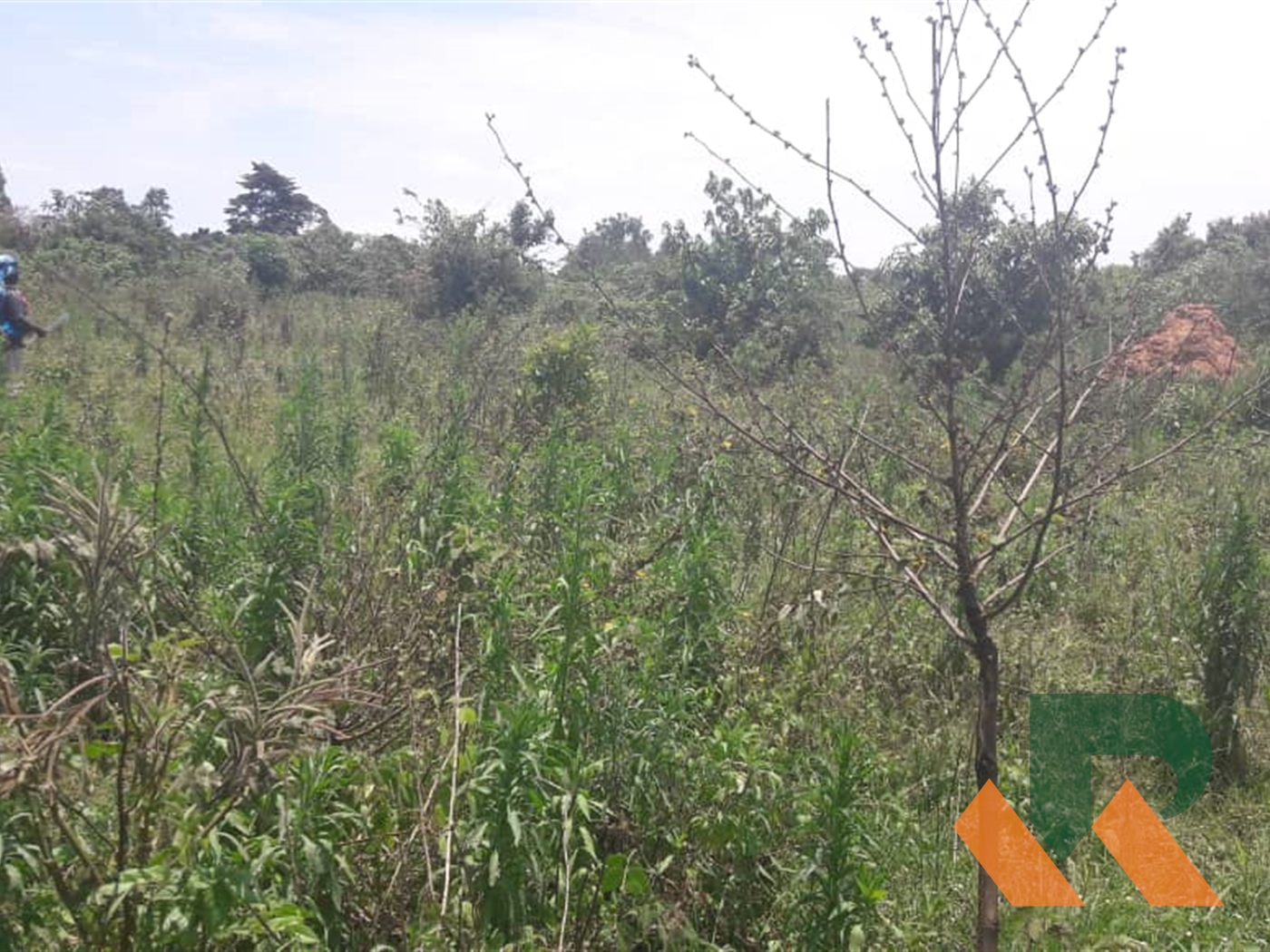 Agricultural Land for sale in Kasanjje Mpigi