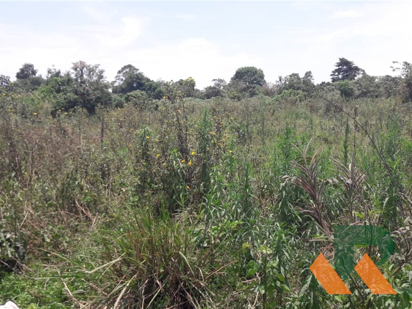 Agricultural Land for sale in Kasanjje Mpigi