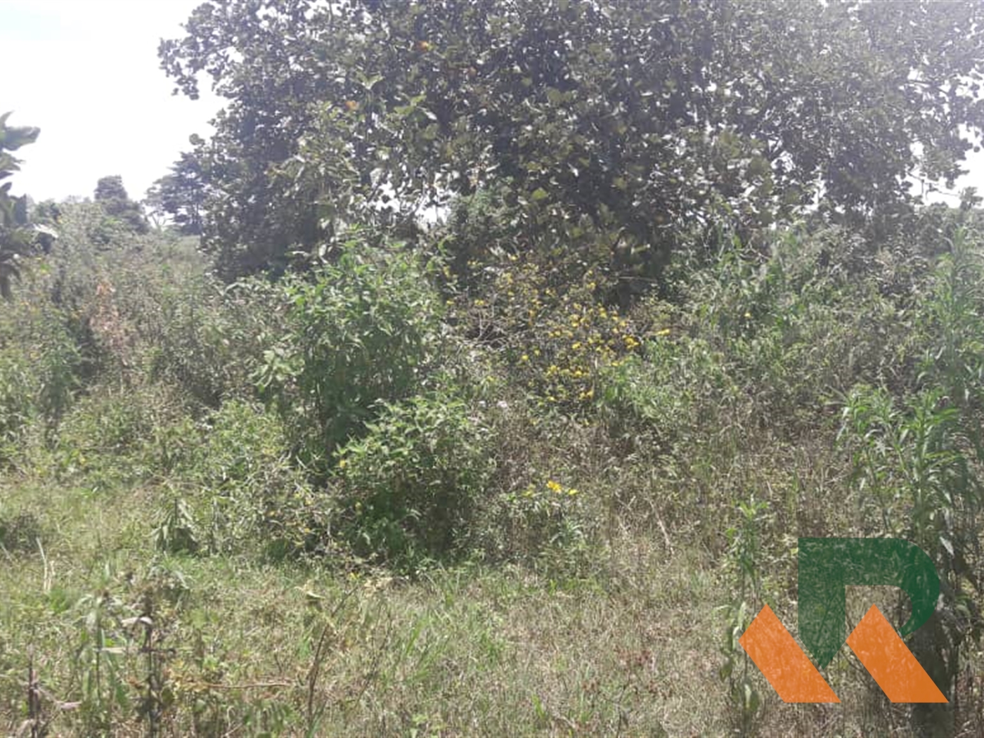 Agricultural Land for sale in Kasanjje Mpigi