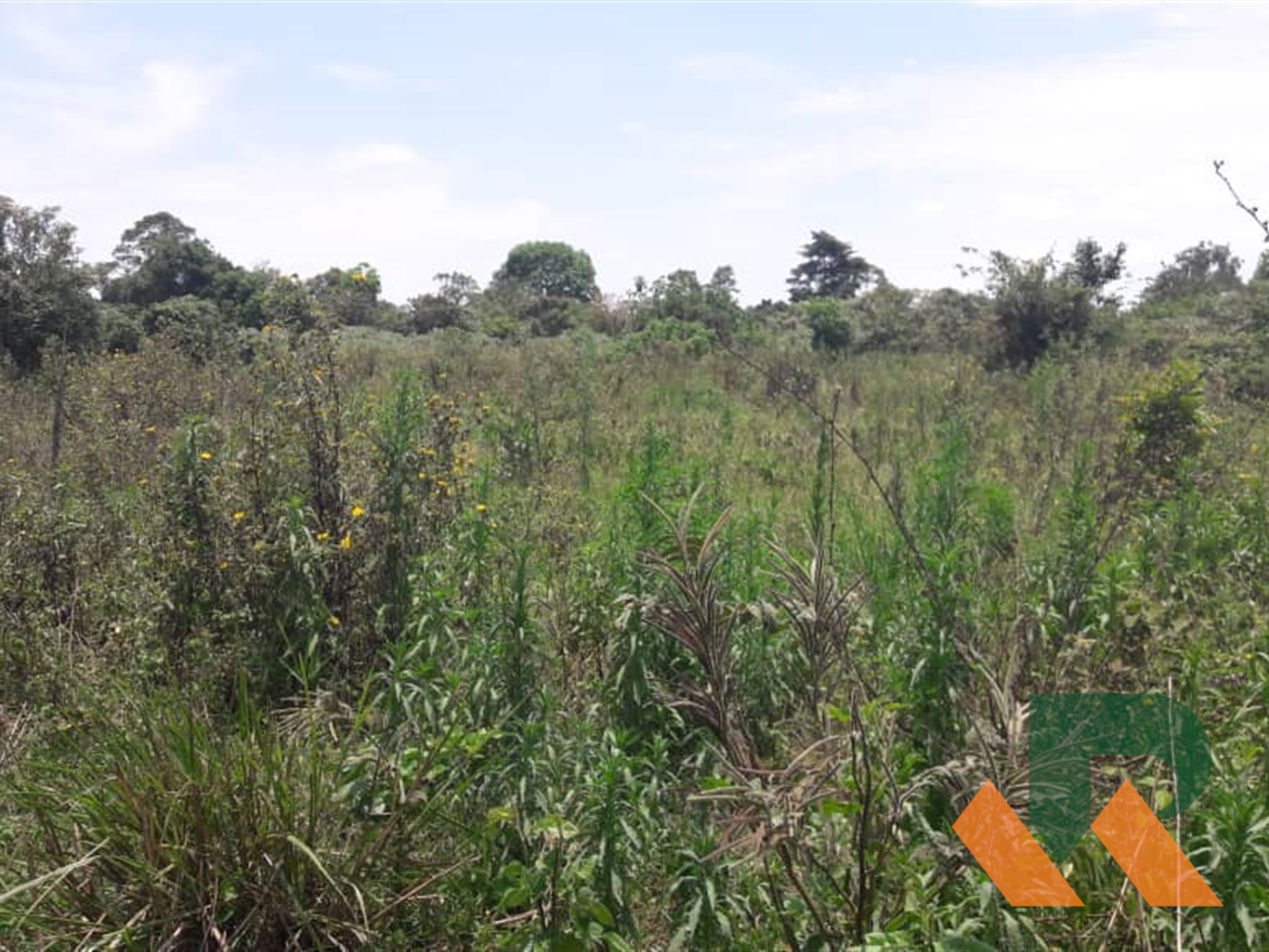 Agricultural Land for sale in Kasanjje Mpigi