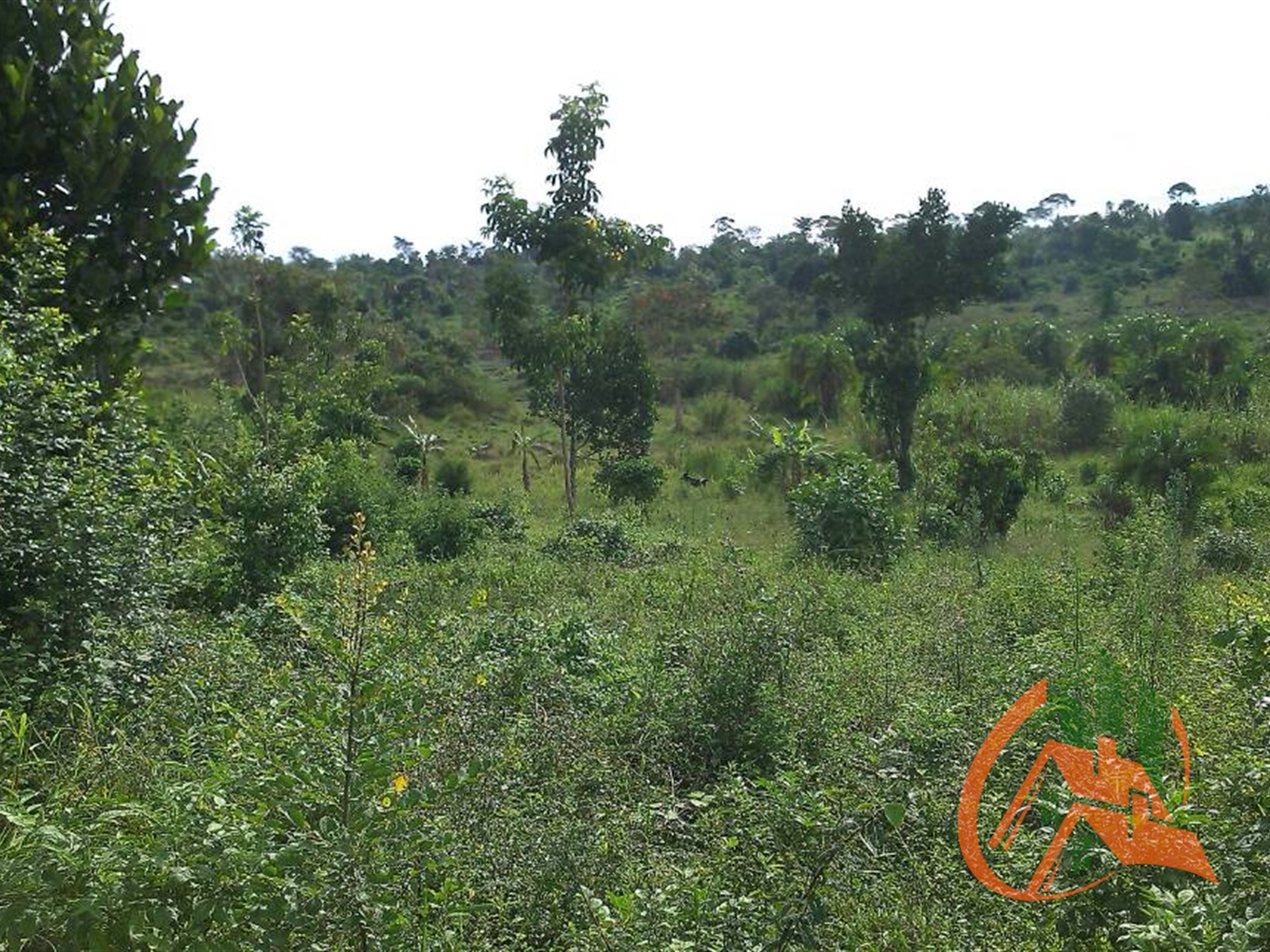 Agricultural Land for sale in Ssemuto Wakiso