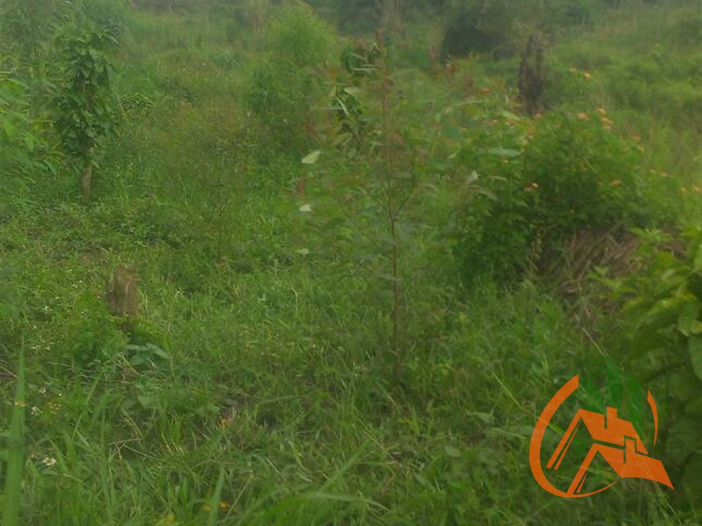 Agricultural Land for sale in Ssemuto Wakiso