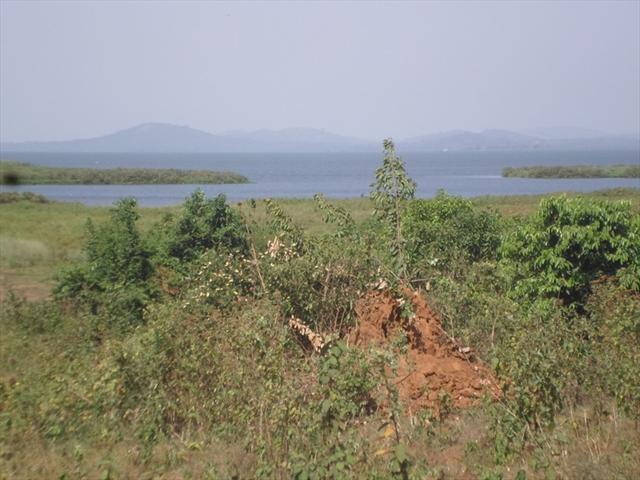 Residential Land for sale in Kawuku Wakiso