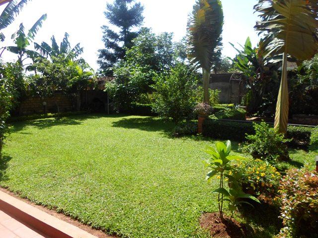 Studio for rent in Ntinda Kampala