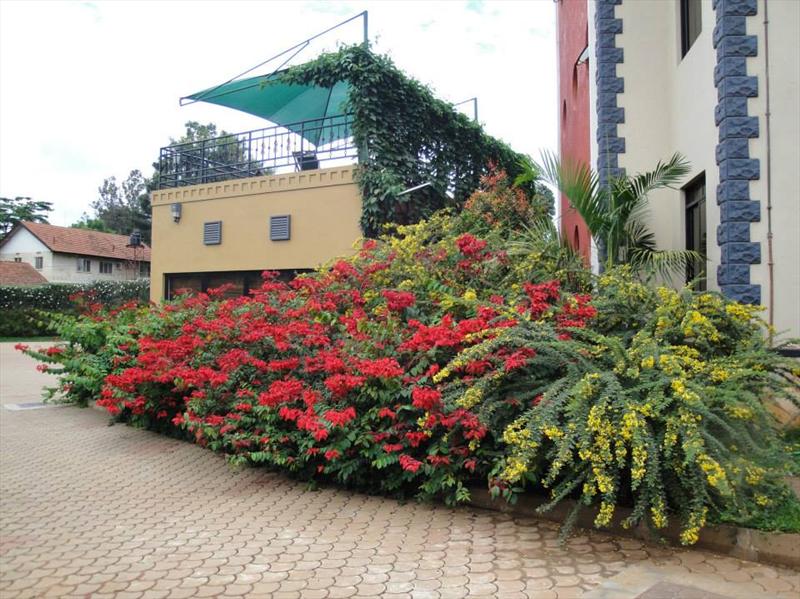 Apartment for rent in Nakasero Kampala