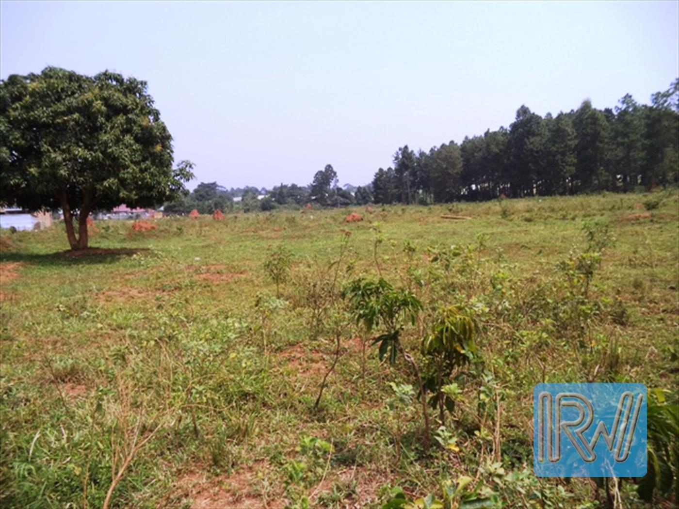 Residential Land for sale in Kawuku Wakiso