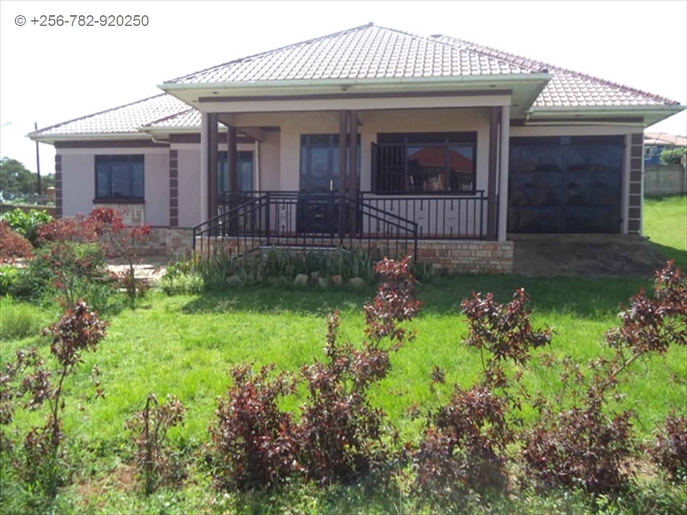 Bungalow for rent in Nkumba Wakiso