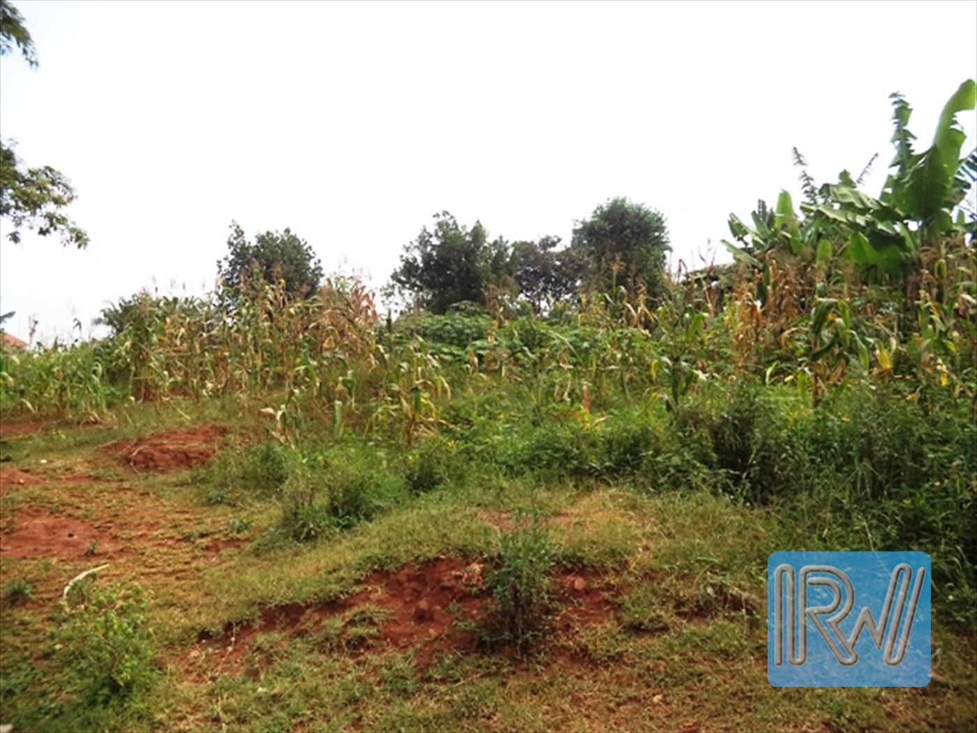 Residential Land for sale in Kiwafu Wakiso