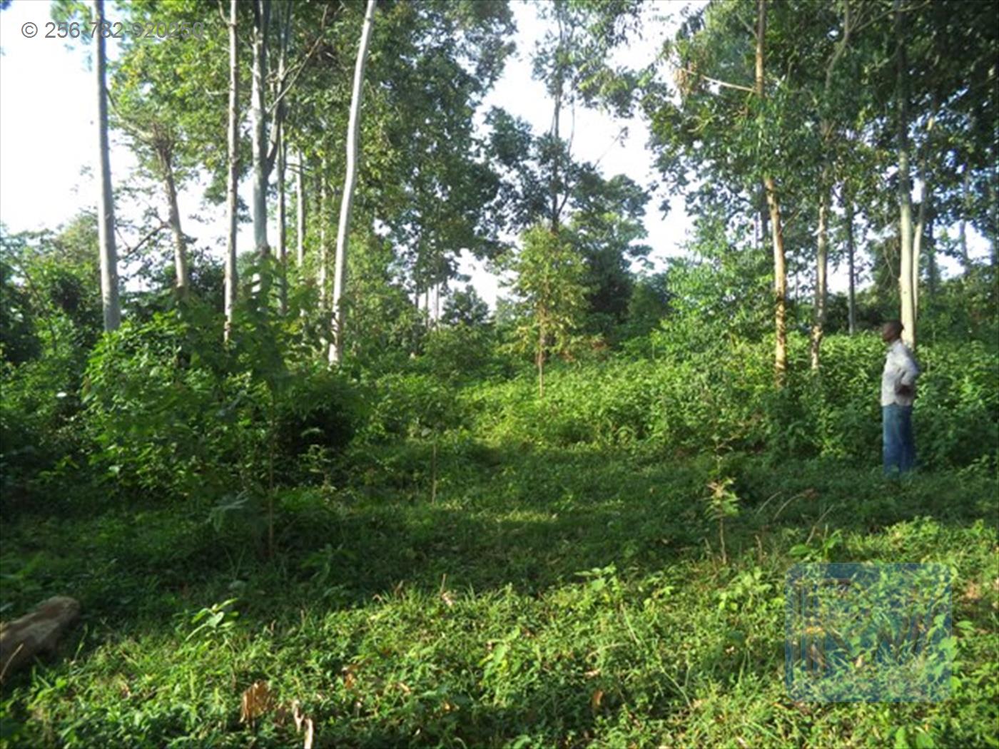 Residential Land for sale in Entebbe Wakiso