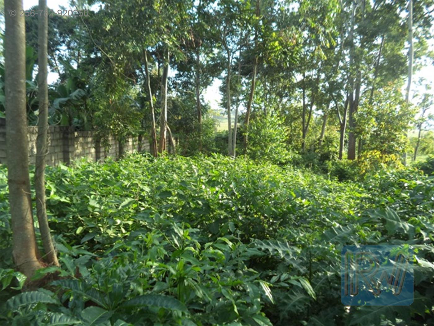 Residential Land for sale in Entebbe Wakiso