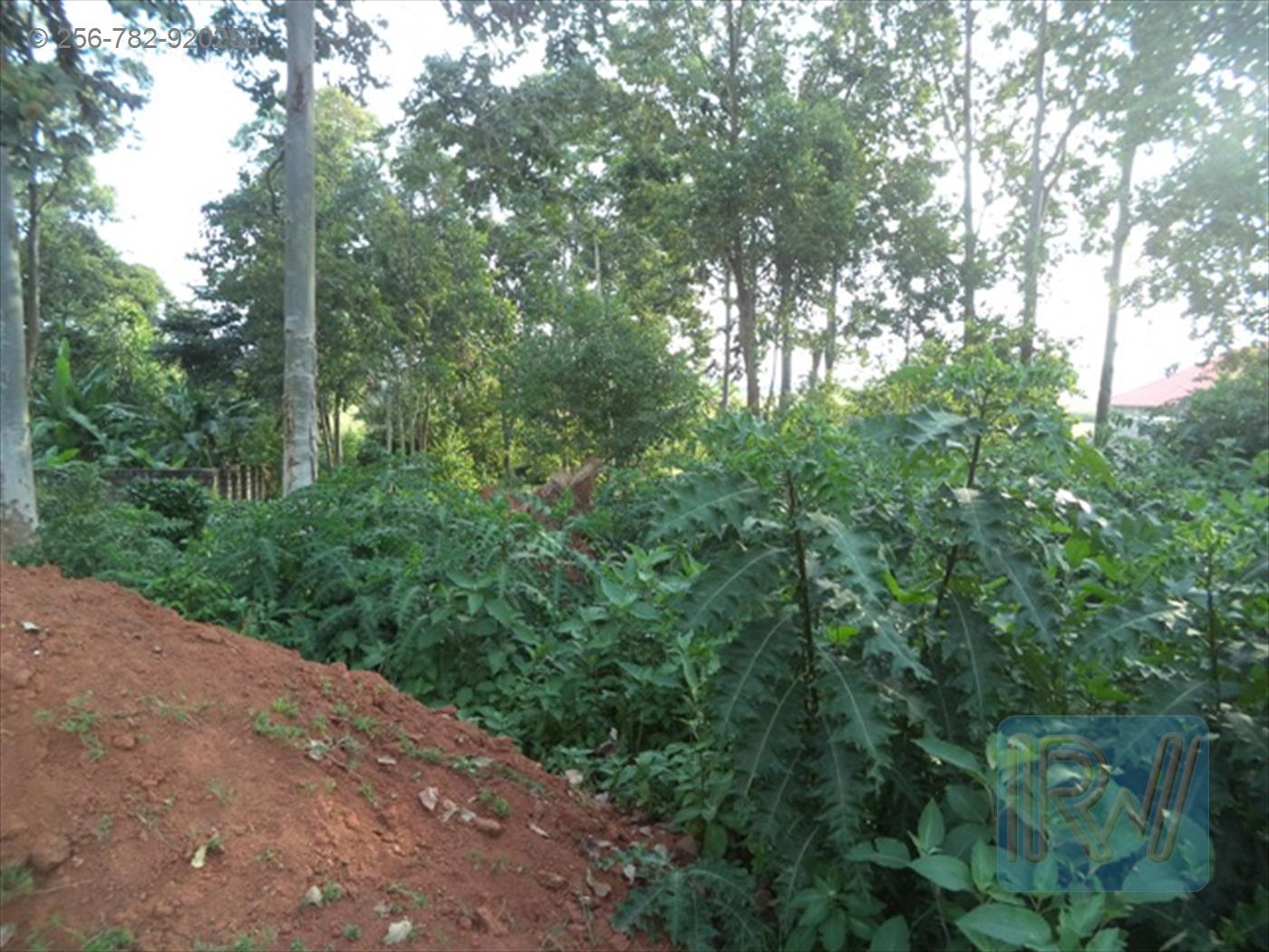 Residential Land for sale in Entebbe Wakiso