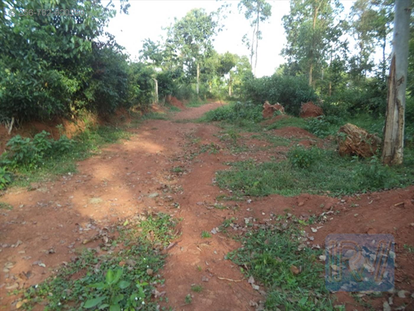 Residential Land for sale in Entebbe Wakiso