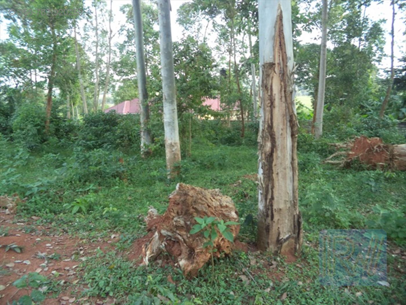 Residential Land for sale in Entebbe Wakiso