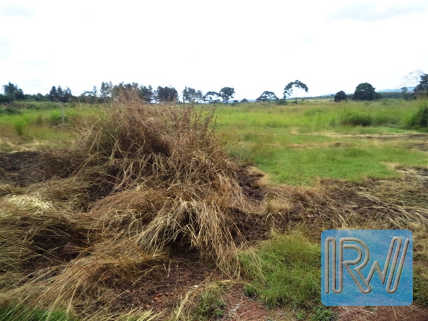 Residential Land for sale in Kawuku Wakiso