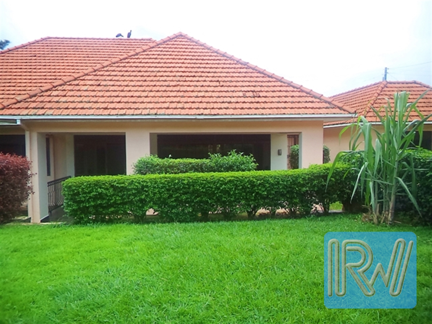 Bungalow for rent in Entebbe Wakiso