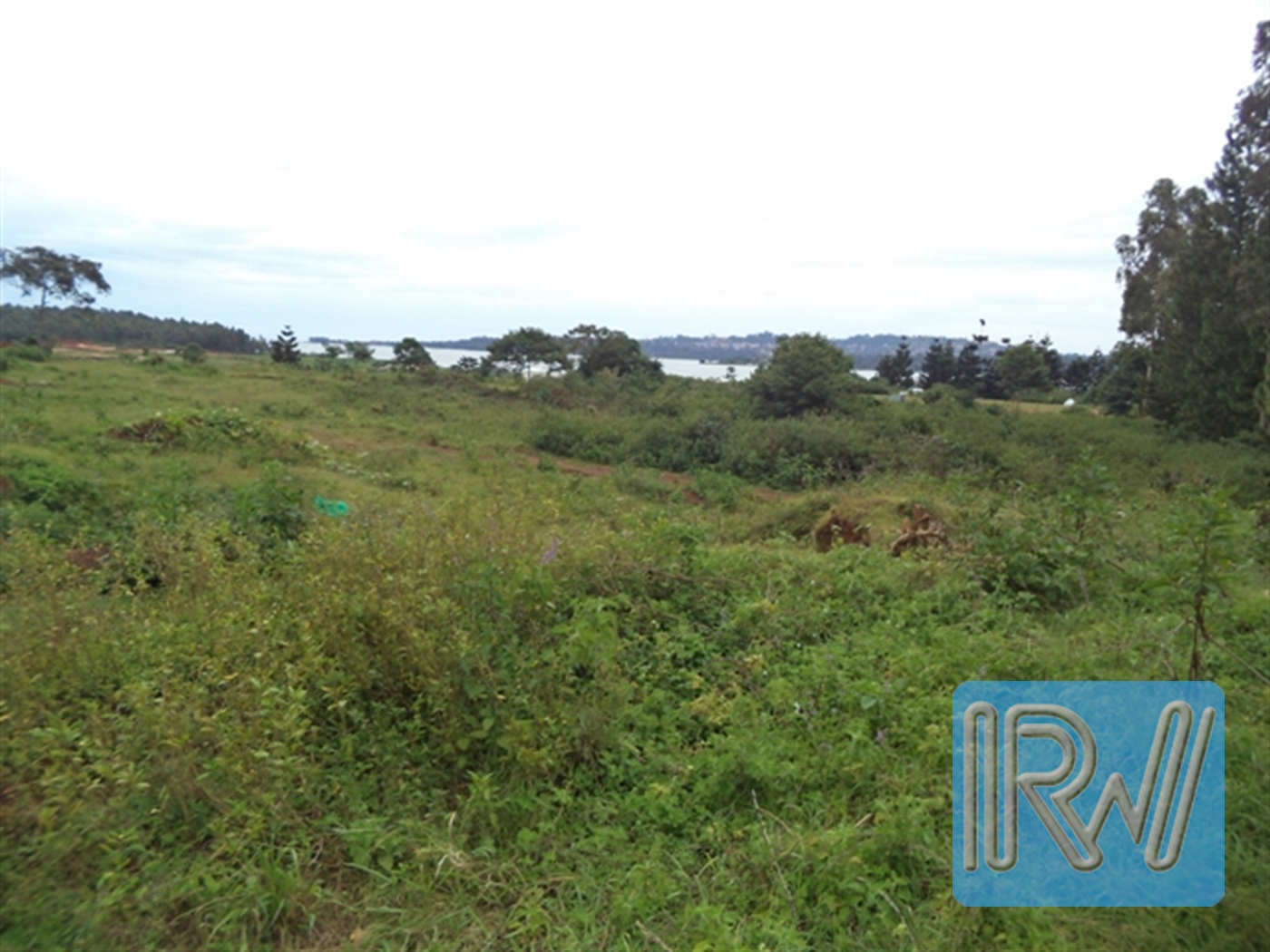 Residential Land for sale in AbayitaAbabiri Wakiso