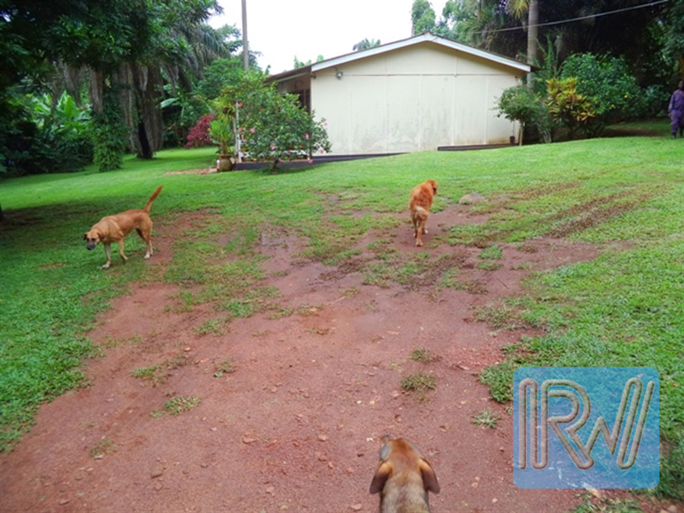 Villa for sale in Entebbe Wakiso