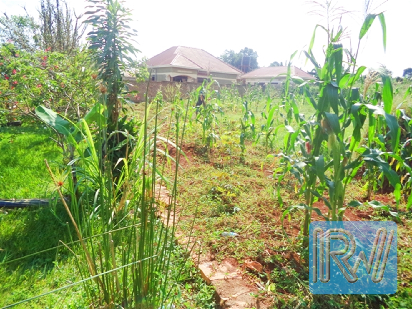 Residential Land for sale in Nkumba Wakiso