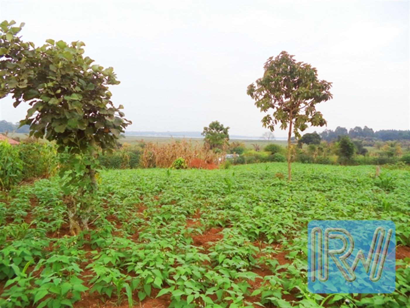 Residential Land for sale in Garuga Wakiso