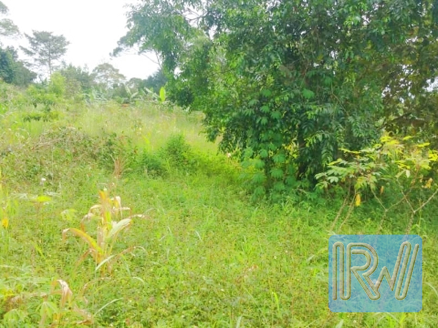 Multipurpose Land for sale in Nakawuka Wakiso