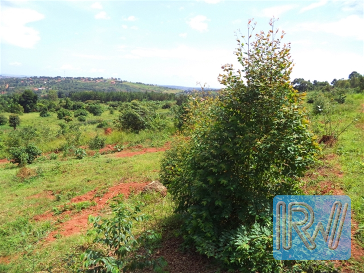 Residential Land for sale in Kawuku Wakiso