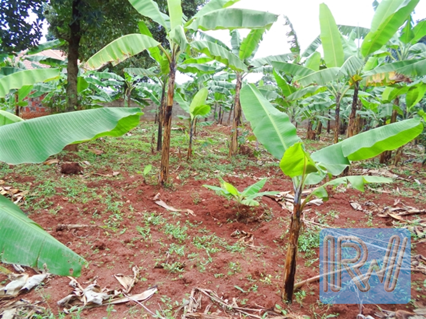 Residential Land for sale in Garuga Wakiso