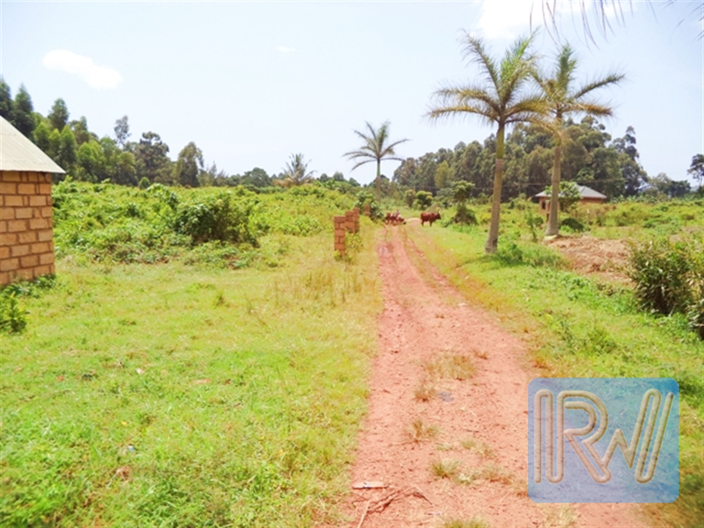 Residential Land for sale in Lutembe Wakiso