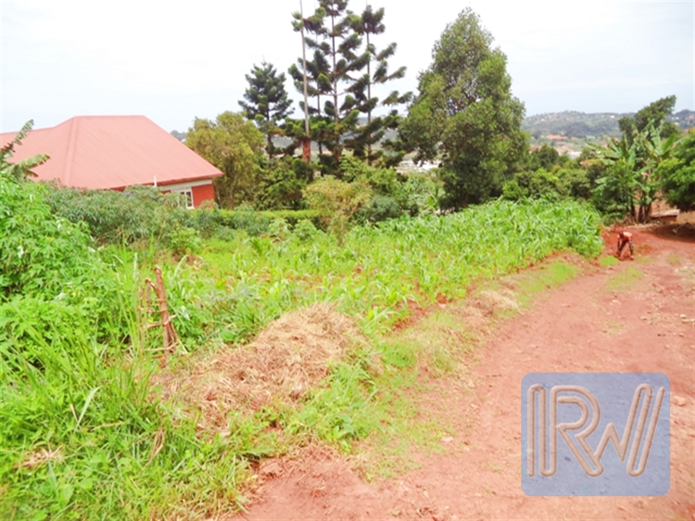 Multipurpose Land for sale in Bwebajja Wakiso