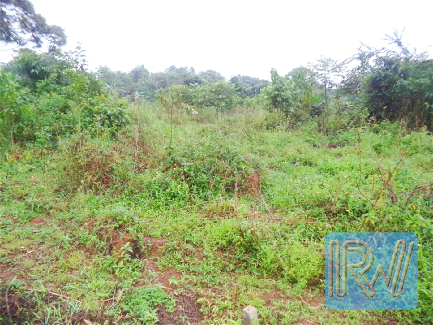 Residential Land for sale in Kasanjje Wakiso