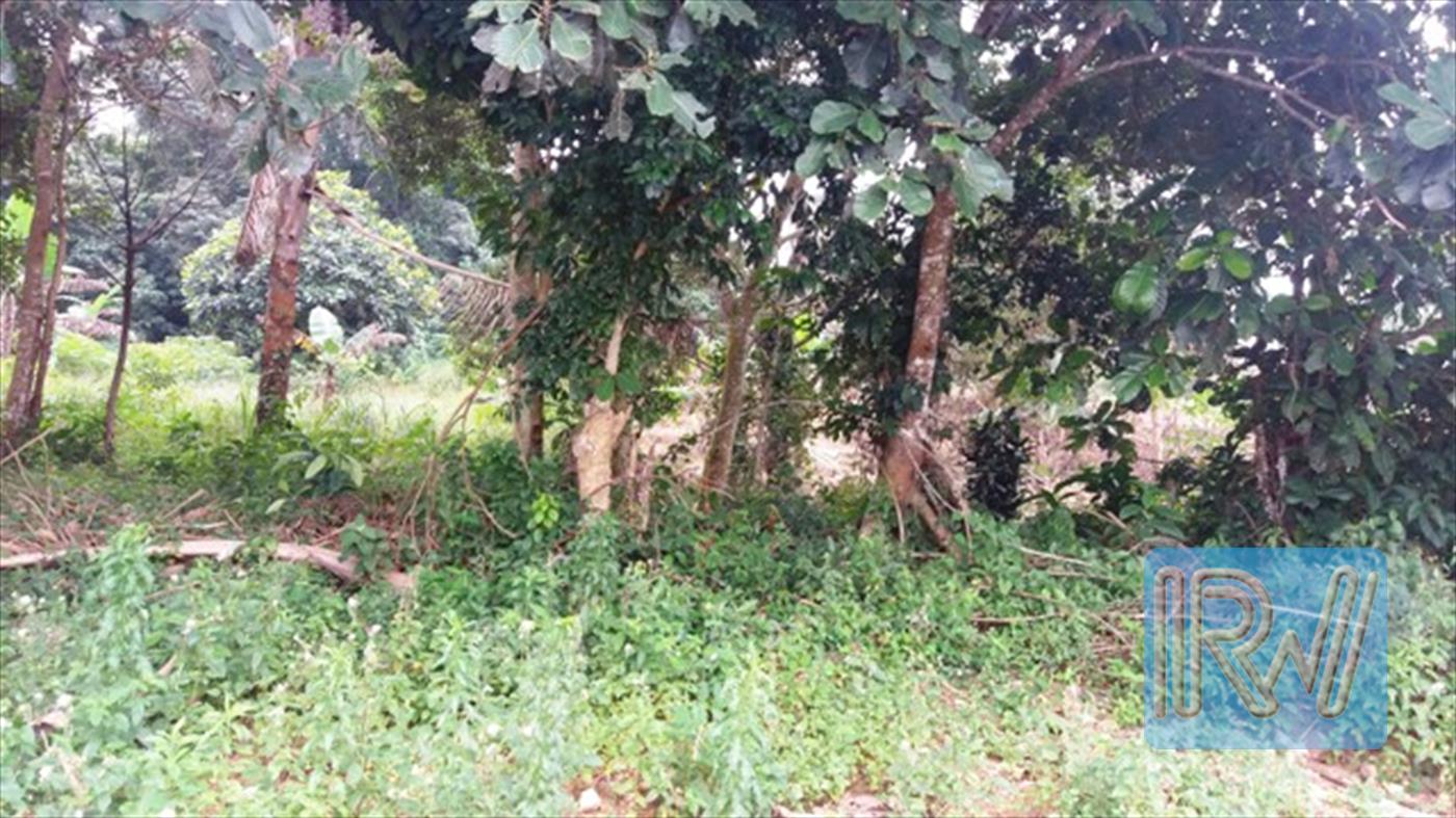 Agricultural Land for sale in Island Kalangala