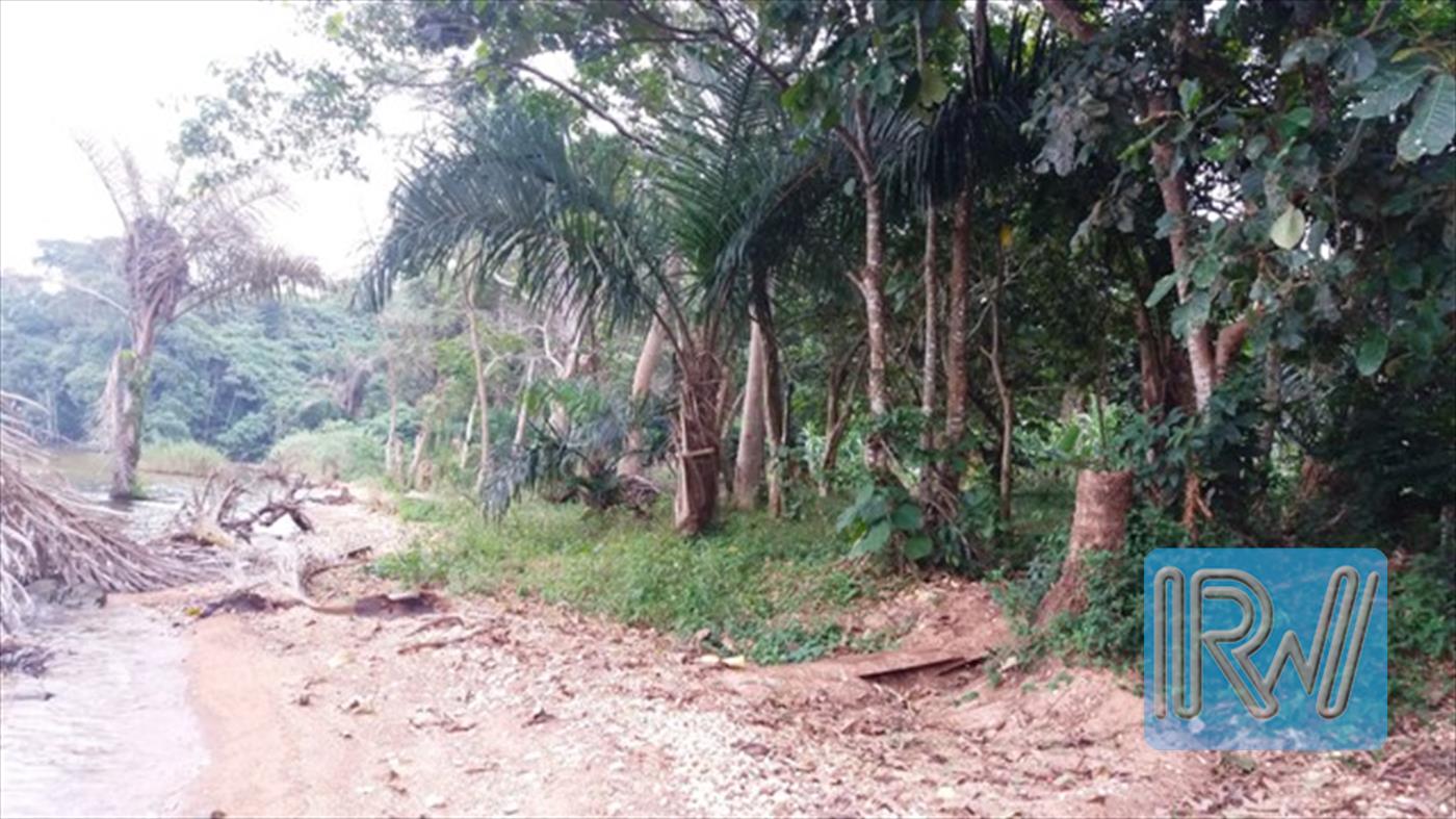 Agricultural Land for sale in Island Kalangala