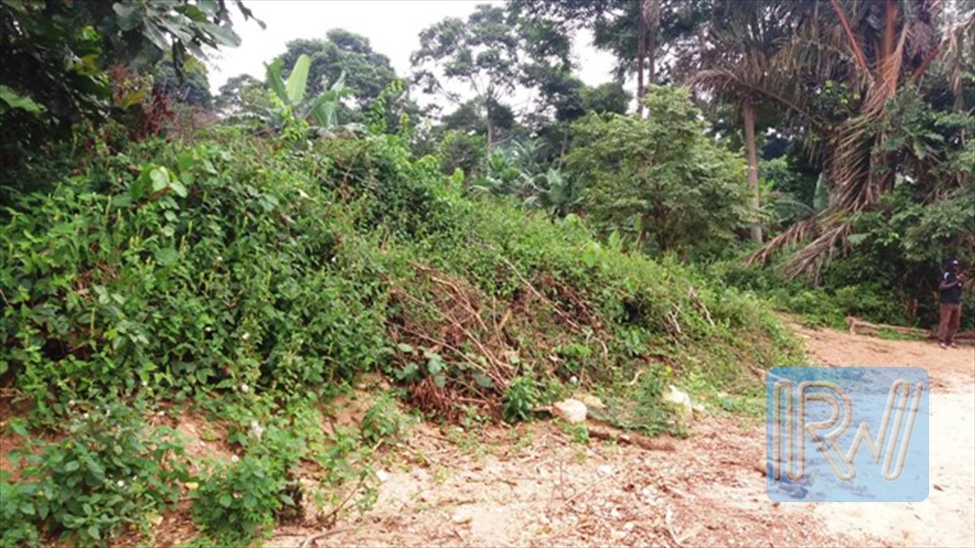 Agricultural Land for sale in Island Kalangala