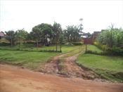 Residential Land for sale in Nkumba Wakiso