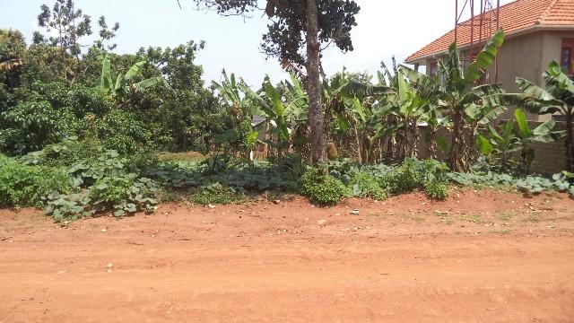 Residential Land for sale in Entebbe Wakiso