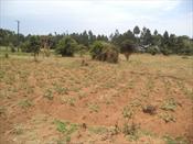 Residential Land for sale in Garuga Wakiso