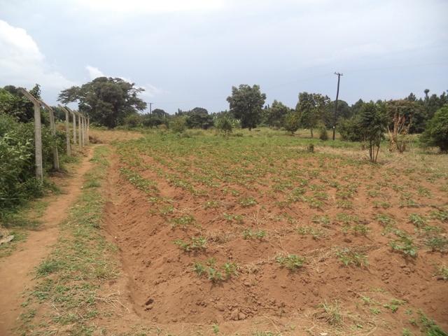 Residential Land for sale in Garuga Wakiso